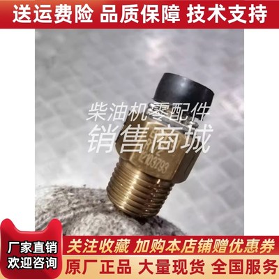 潍柴船用发电机EDWDC-91B温度水温油温传感器R1/2恩达