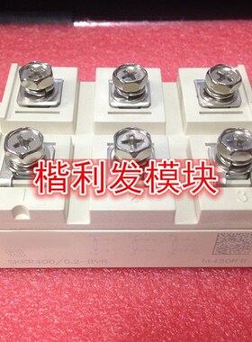 SKKR400-0.2-BVR SuKKR400/02 SKKR400/0.2-BVRS