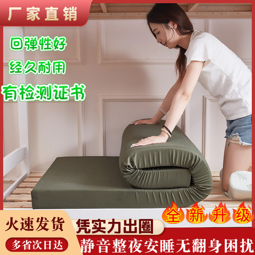 凌芸飞环保护脊海绵床垫四季通用