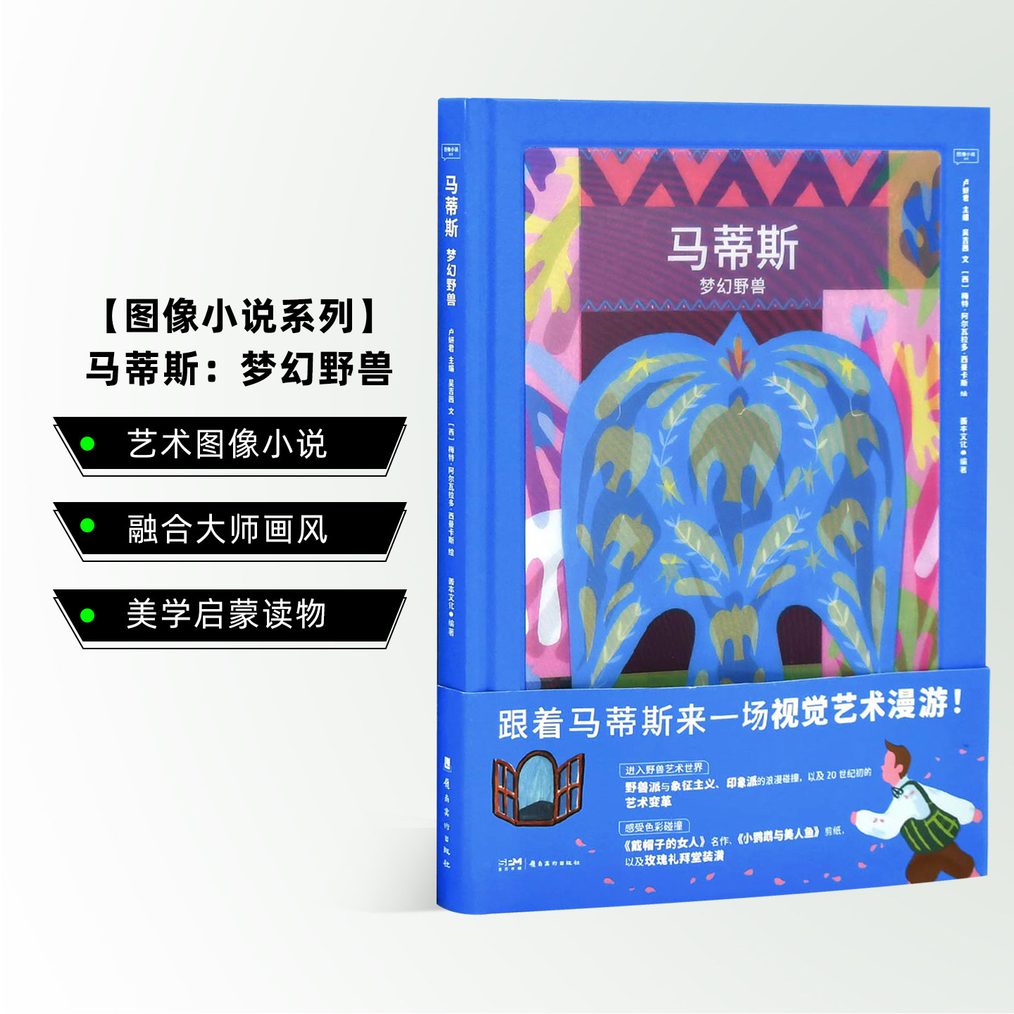 马蒂斯：梦幻野兽中文图像小说图片