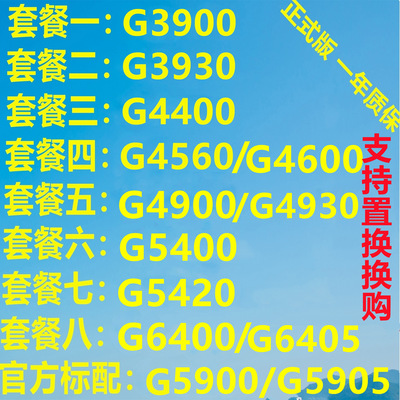 G4600G4560G4900G5400G5420G5905G6400G6405G6900G7400