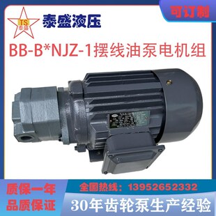 B25NJZ 1摆线齿轮油泵电机组BB B32N 40东高 B20N B16NJZ