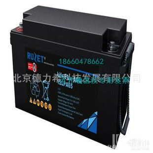 法国RUZET路盛蓄电池12LPG65免维护蓄电池12v65ah 质保三年