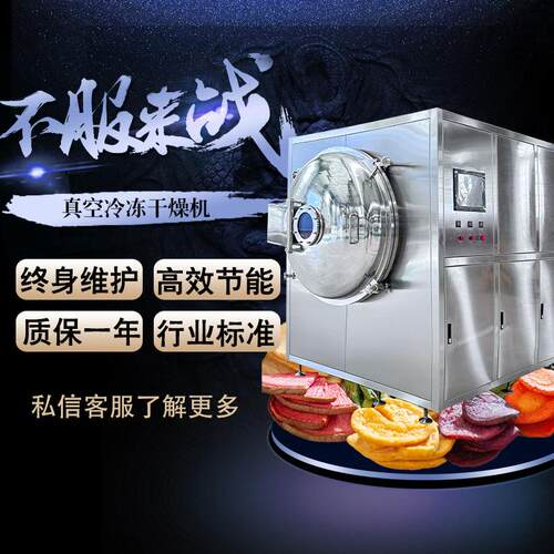 桑叶桑葚低温真空冷冻干燥机 水果真空冻干设备 真空冻干设备