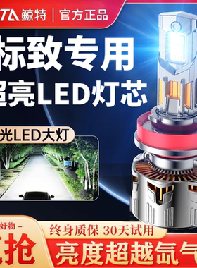 鲸特适用308标致3008标志408led大灯307泡206车灯508改装5008 301