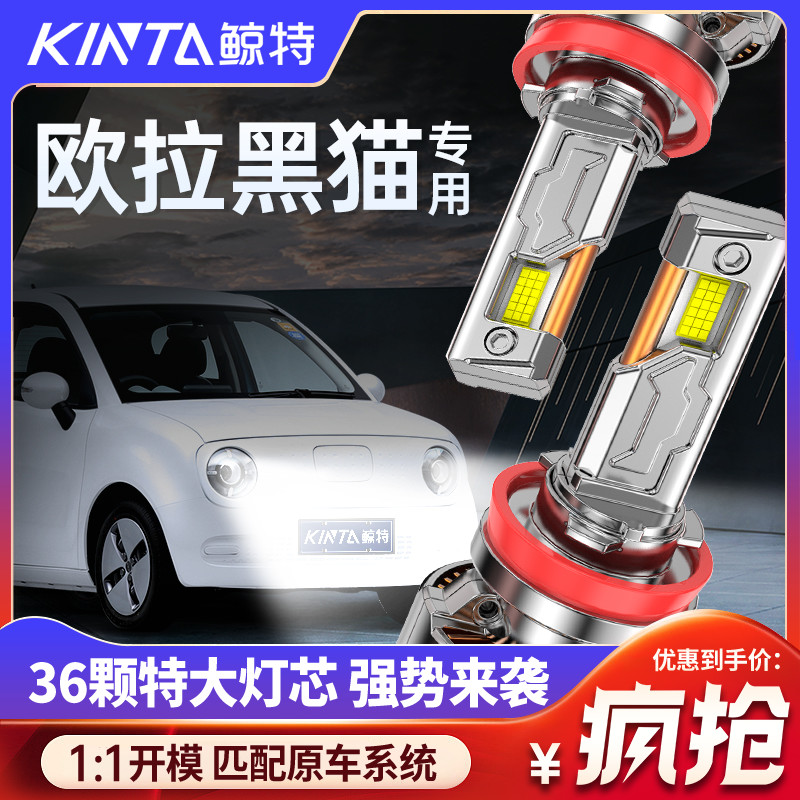 鲸特欧拉黑猫白猫专用led大灯