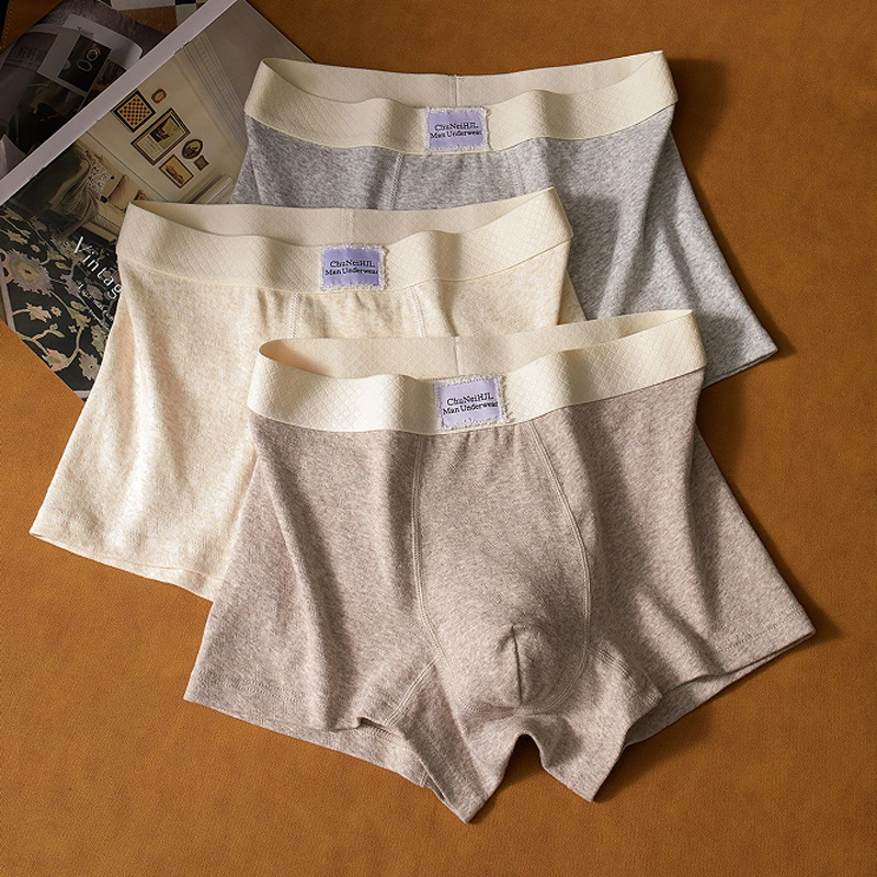 男士内裤2025新款纯棉亲肤透气100A抑菌底裆高级男生平角四角短裤