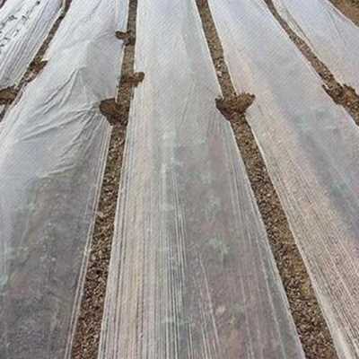 极速厂销地膜农用黑膜除s草整卷农膜薄膜地面黑白色果园防雨淋大