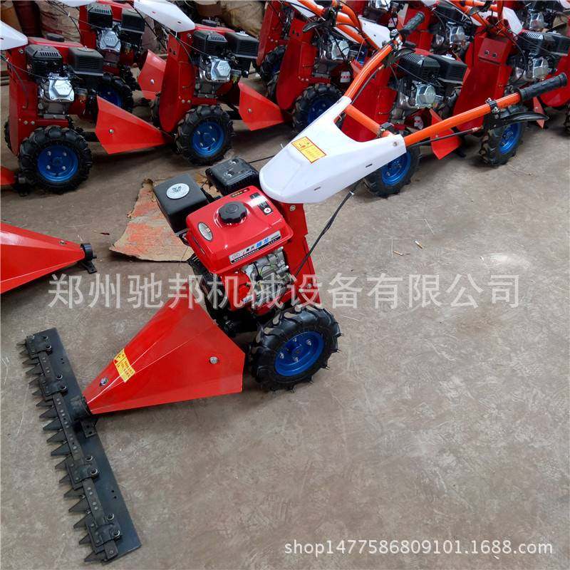 极速爆品供应小型果园剪草机 手推式丘陵山地割草机 Y自走式农场