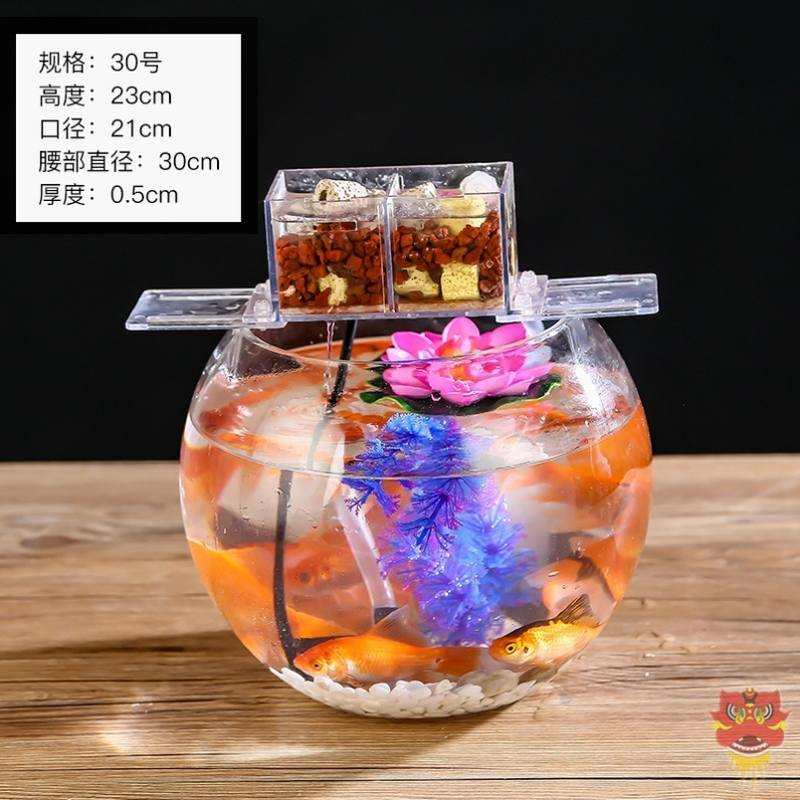 极速金鱼生态瓶鱼虾螺鱼q缸diy懒人观赏微观生态鱼缸 家庭台式小