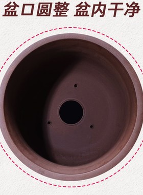 极速花盆陶瓷特大号3m0cm以上花盆2021新款网红花盆大号大口径紫
