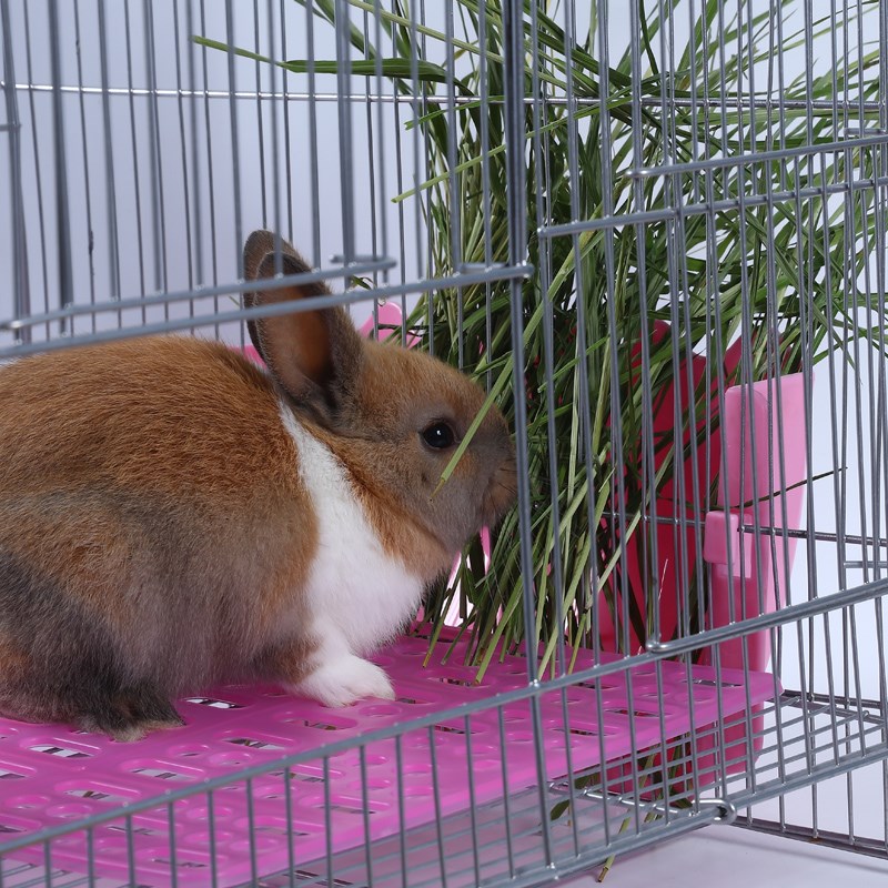 极速小动物外置草架n兔草架龙猫宠物用品二合一草架兔子豚鼠食盒