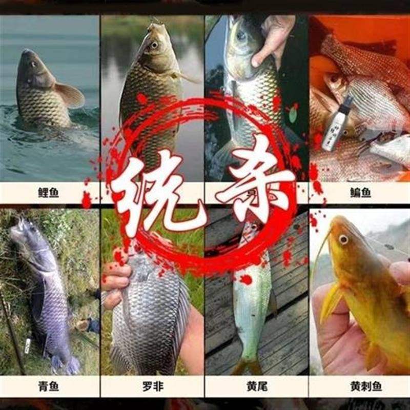 极速鱼类上瘾粉i鲫鱼鲤鱼草鱼诱鱼剂秋冬野钓竞技黑坑专用饵料一,户外/登山/野营/旅行用品,台钓饵,淘宝优惠券,粉丝福利购,淘宝优惠卷