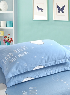 极速枕套一对装40x60小号n30x33x35x40x45x50x55x60x65x70x75x120