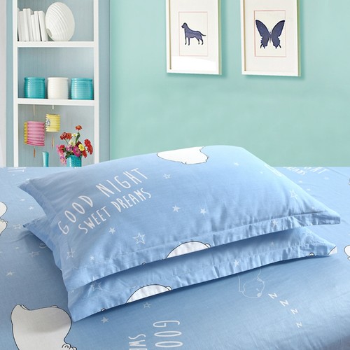 极速枕套一对装40x60小号n30x33x35x40x45x50x55x60x65x70x75x120