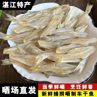 去头白帆鱼干渔民自晒海燕鱼干白饭鱼干微甜小鱼干北海海鲜干货