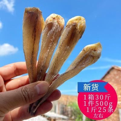 北海特产沙丁鱼干渔民新晒