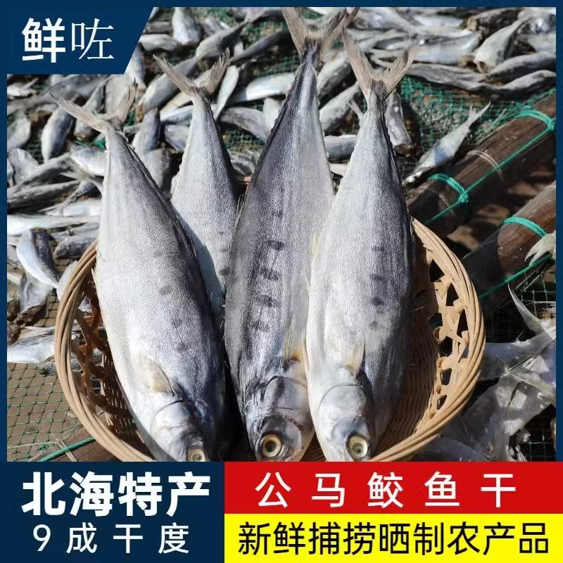 北海特产马鲛鱼干公马鲛