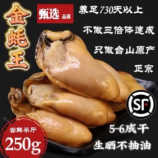 台山特产生晒金蚝王半干冷冻蚝豉海蛎子汶村生蚝干深井原装无抽油