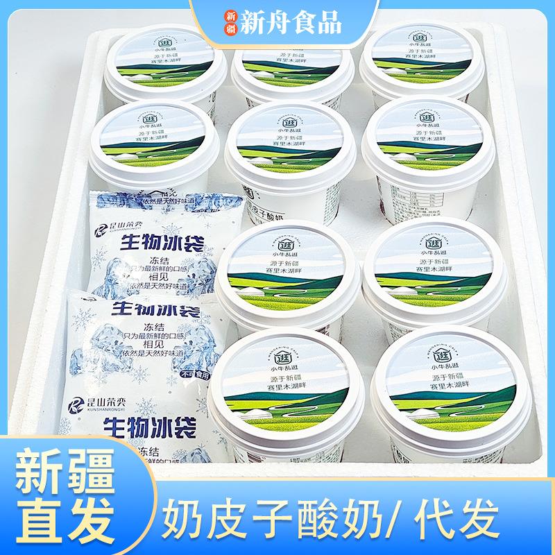 新疆奶皮子酸奶鲜牛奶发酵乳新鲜短保低温冷运盒装150g小碗奶酪