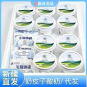 新疆奶皮子酸奶鲜牛奶发酵乳新鲜短保低温冷运盒装 150g小碗奶酪