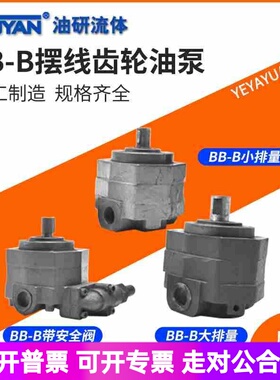 BB-B4摆线B6齿轮BN10液压B16油泵B20B25B32B40B50B63B80B100B125Y
