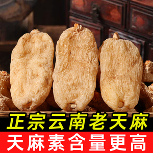 正宗云南君愉小草坝天麻干货新鲜非野生特级中药材粉片官方经营店