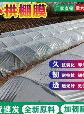 拱棚专用棚农用膜透明白色蔬菜防尘保湿高小保暖薄膜房暖封膜膜窗