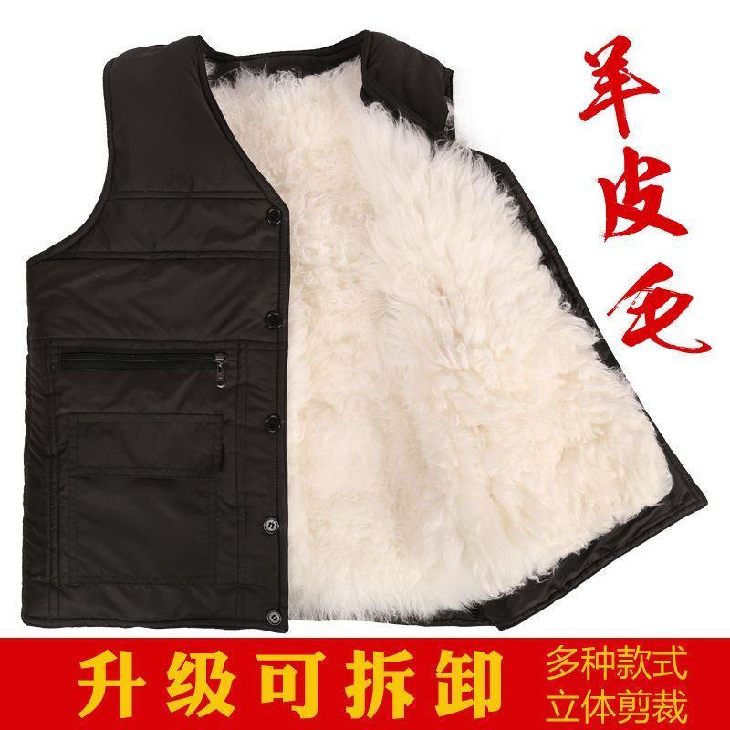 新疆包邮秋冬季中老年羊