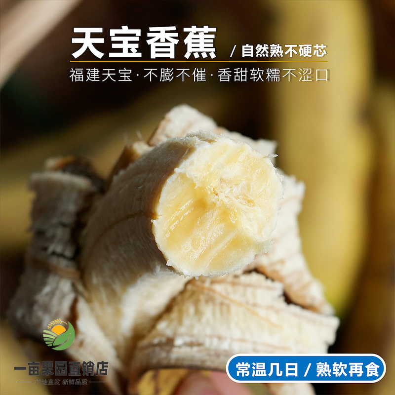 福建天宝香蕉5斤正宗现割零添加新鲜精选当季水果非米蕉芭蕉红蕉9