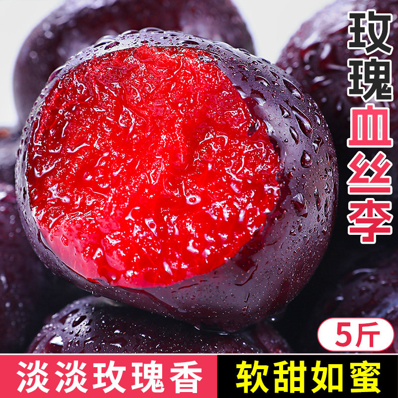 新鲜现摘玫瑰血李子恐龙蛋红心肉鸡血李红黑布林三华孕妇水果5斤9
