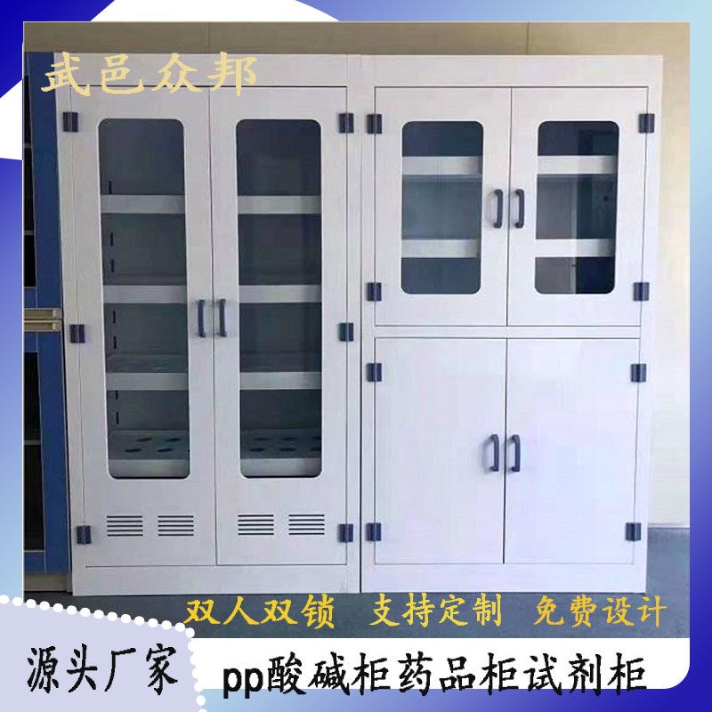 双人双锁试剂柜pp酸碱p柜通风药品柜耐腐蚀器皿柜定制加厚pp药品