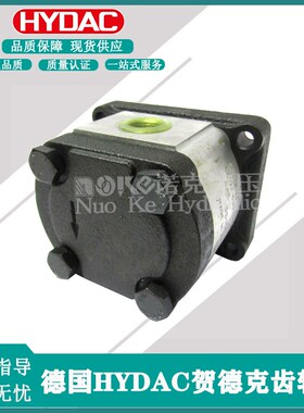 新款贺德克齿轮泵PGE101-160/t200/250/315/500/740-RBQ1-N-37包