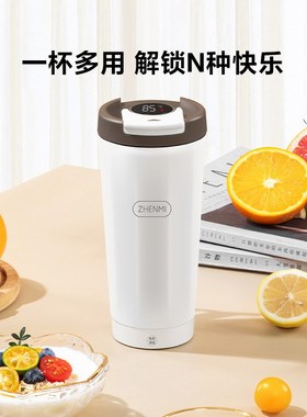 臻米ZHENMI 电热杯z C2pro USB标准款
