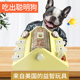 美国KADTC智慧猎犬宠物狗玩具益智藏食训导嗅闻漏食消耗转筒礼物