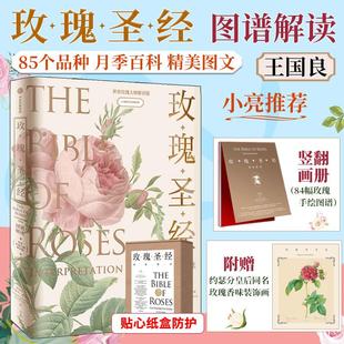 玫瑰科普百科书 月季 中信出版 图谱解读玫瑰圣经 媲美艺术品 王国良 种植书无穷小亮张辰亮 玫瑰圣经 栽培手册