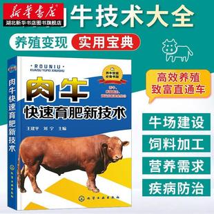 肉牛快速育肥新技术 肉牛养殖技术书籍畜牧养殖技术服务饲料养牛致富 肉牛养殖场畜牧业生产管理人员用书 新华书店正版图书籍