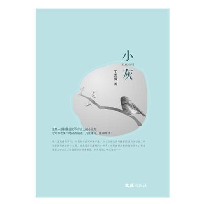 新华正版 小灰 文汇出版社 丁恩翼著