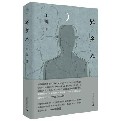 新华正版 异乡人 广西师范大学出版社 王键著