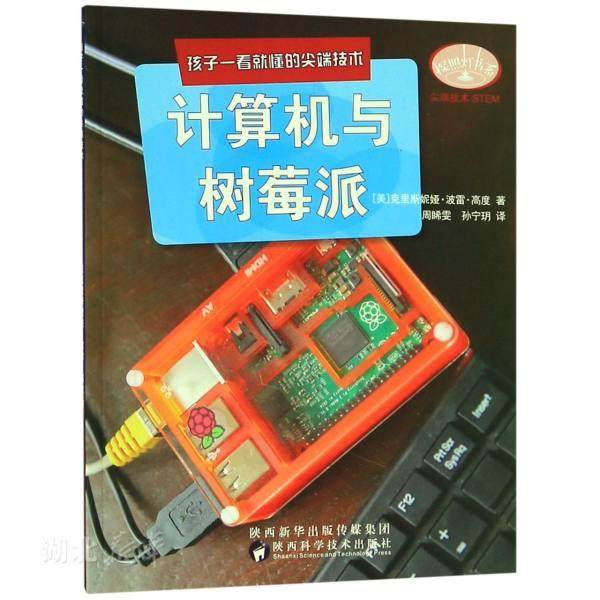 计算机与树莓派-孩子一看就懂的尖端技术