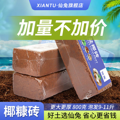 仙兔椰砖营养土养花通用型