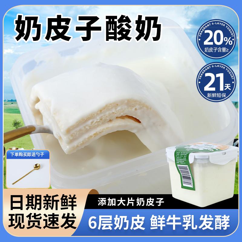 牧少主内蒙古鲜奶皮子酸奶嚼着吃