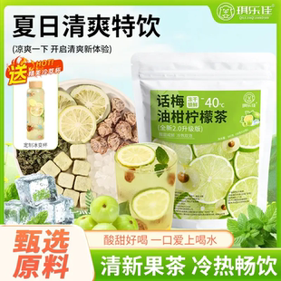【送冰变杯】话梅油柑柠檬茶冻干水果夏季女生冷泡茶薄荷水果茶