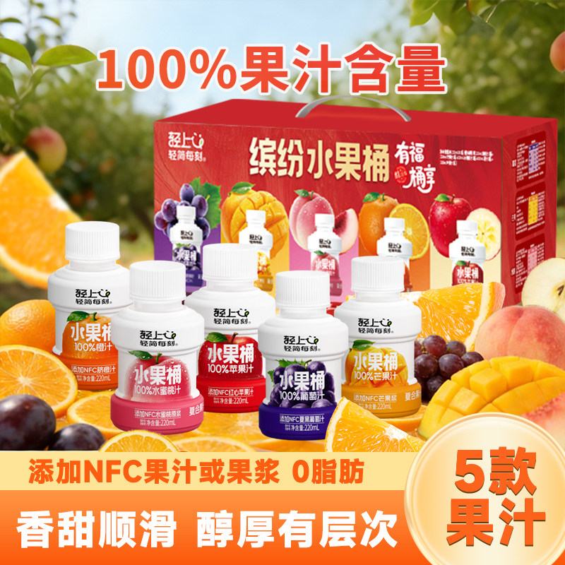 轻上缤纷水果桶混合多口味果汁饮料100%果汁含量过年过节送礼佳品