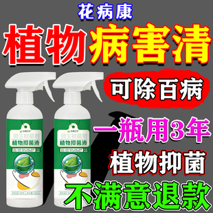 花病康喷剂多菌菌灵杀菌剂植物花卉黄叶菌立清黑斑病炭疽病百菌灵