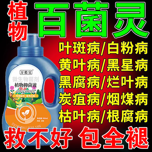 花病康喷剂多菌菌灵杀菌剂正品花卉植物黄叶菌立清炭疽病兰花黑斑
