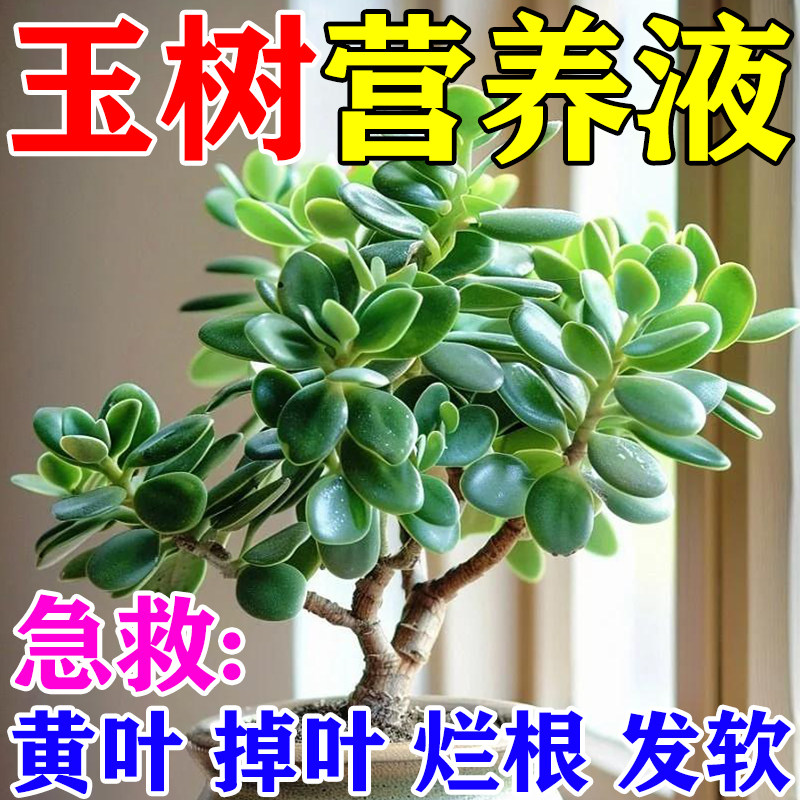玉树专用肥料植物营养液通用型