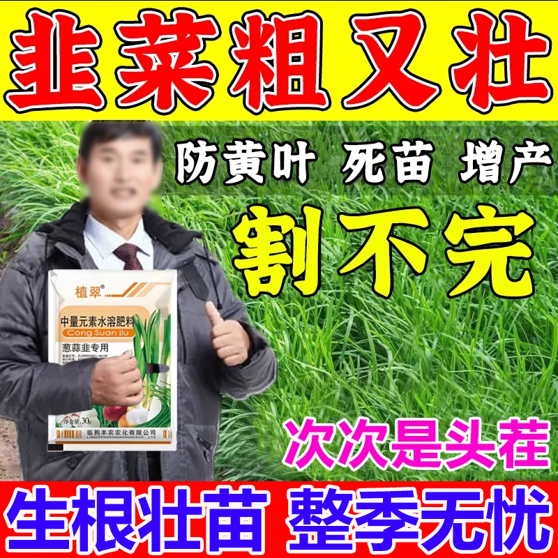 韭菜专用肥防冻害抗病增产