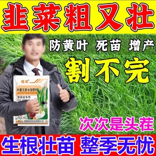 韭菜专用肥韭菜大葱干尖黄叶返青膨大防冻害抗病增产水溶肥