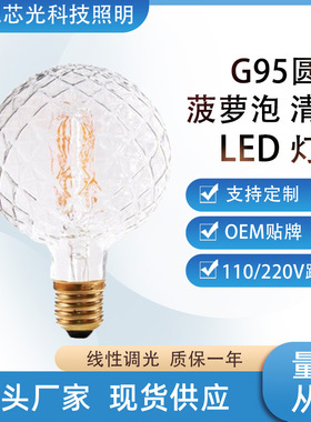 LED灯丝灯泡清光异形G95菠萝泡E26E27大螺口暖白调光110V跨境提供